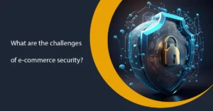 What are the challenges of e-commerce security