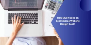 Ecommerce website design cost