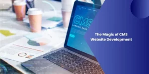 CMS Website Development