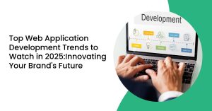 web application development